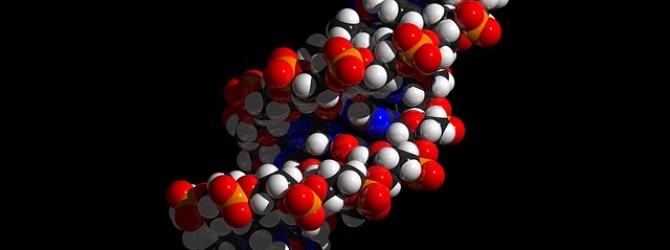 Matura z biologii – genetyka, najważniejsze pojęcia